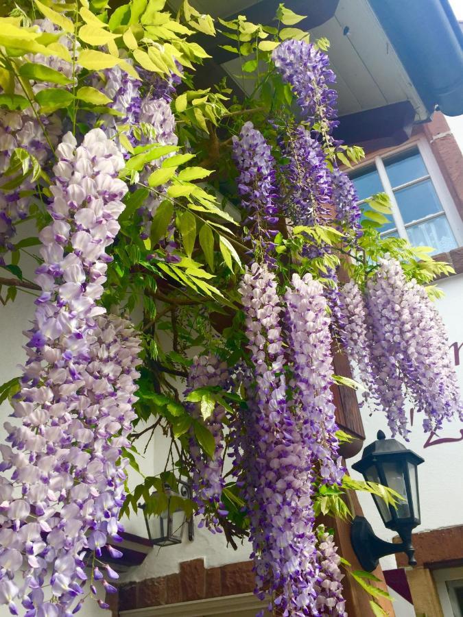 Landgasthaus "Zum Engel" Neuleiningen Ngoại thất bức ảnh