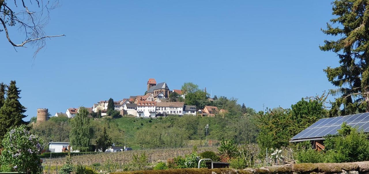 Landgasthaus "Zum Engel" Hotel Neuleiningen Ngoại thất bức ảnh