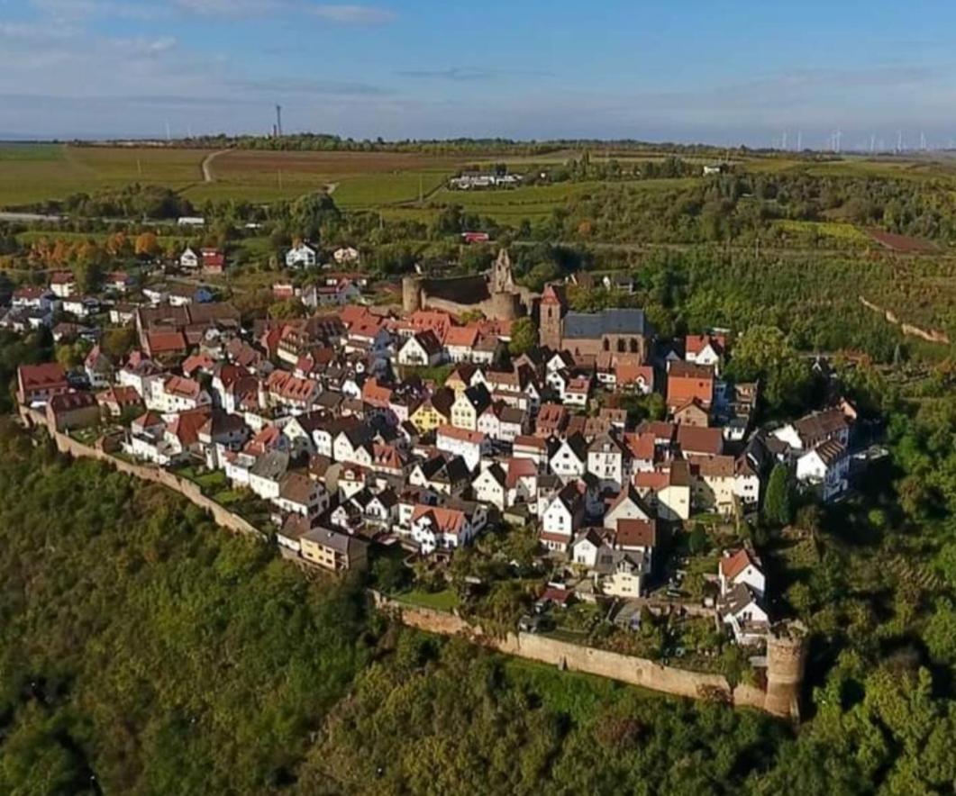 Landgasthaus "Zum Engel" Neuleiningen Ngoại thất bức ảnh